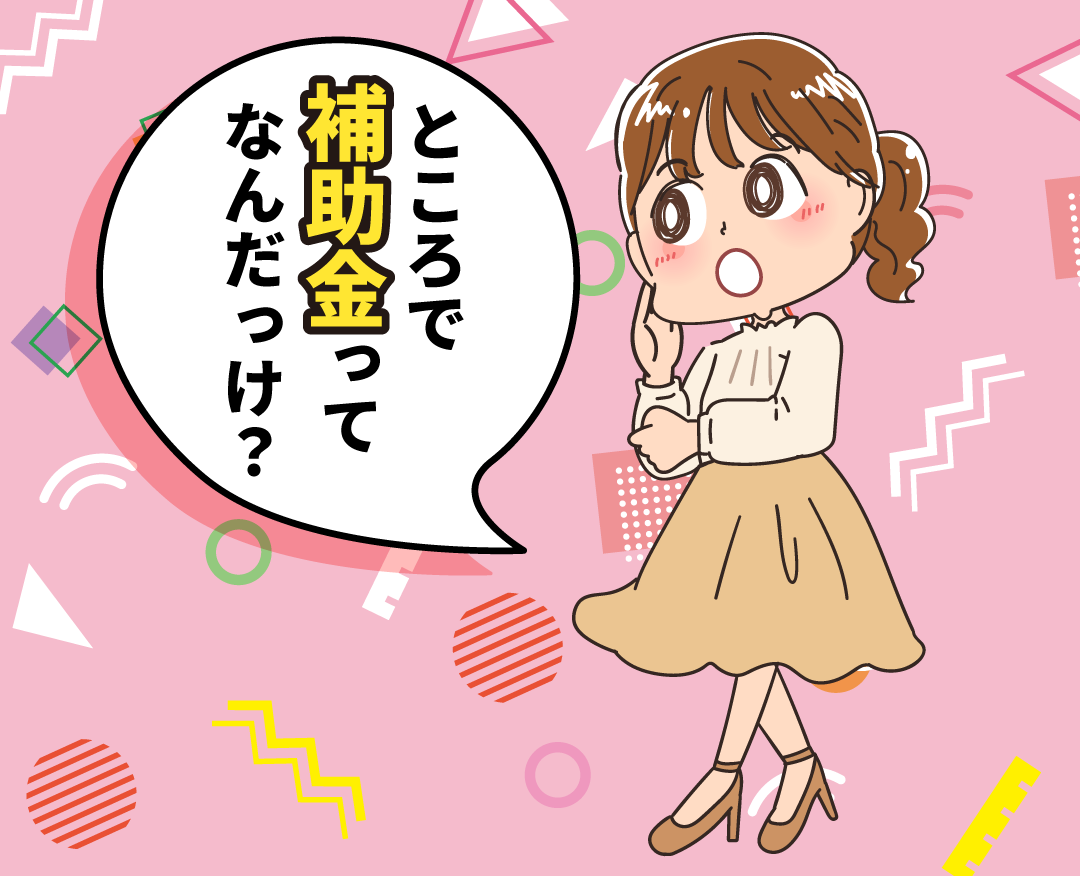主人公「ところで補助金てなんだっけ？」