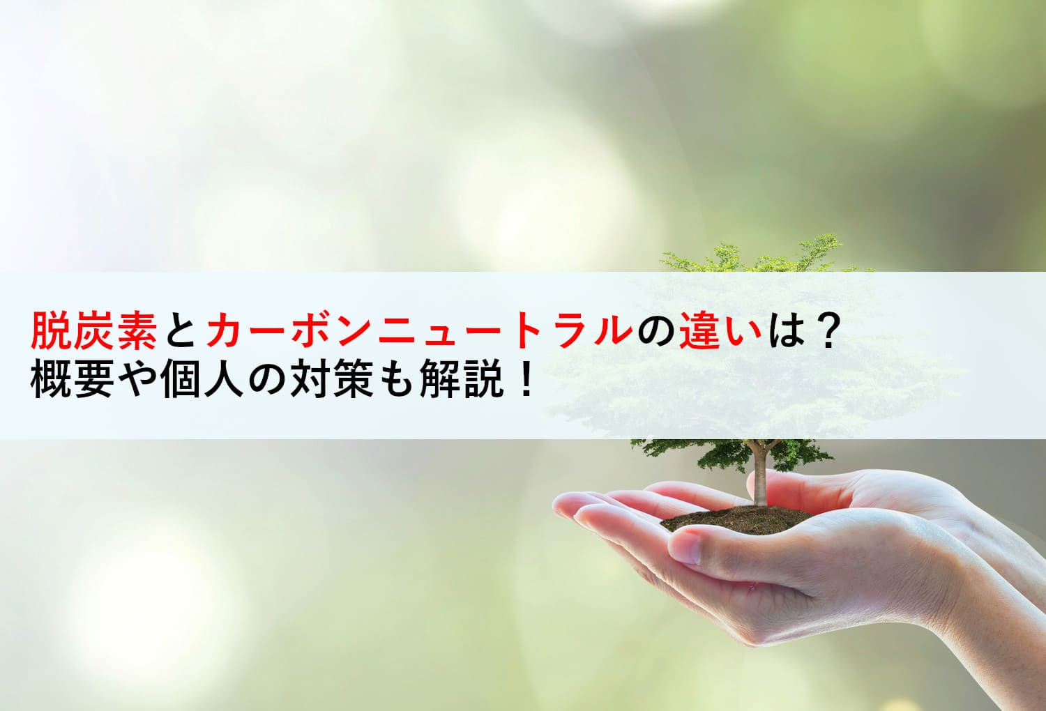 脱炭素とカーボンニュートラルの違いは？概要や個人の対策も解説！