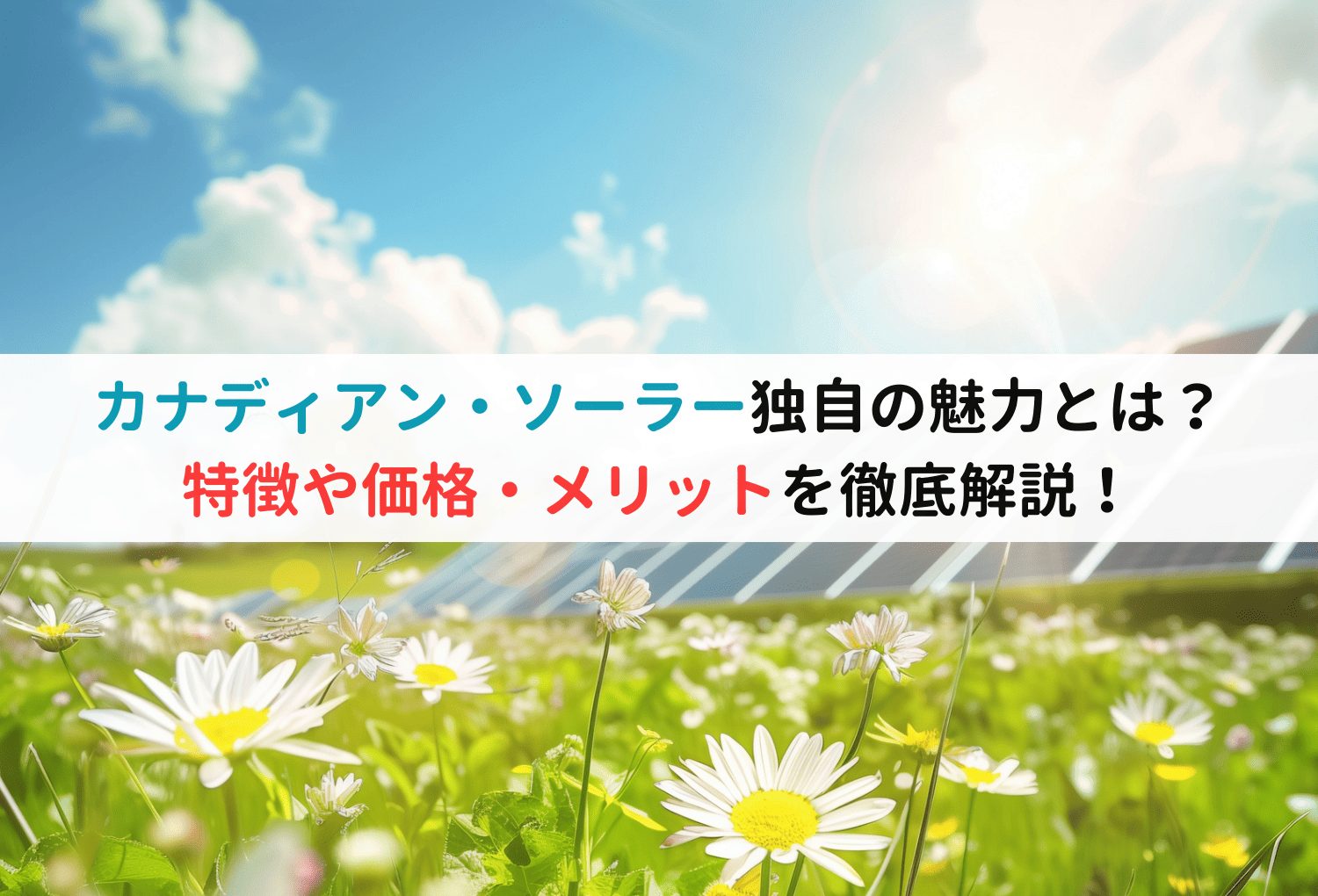 カナディアン・ソーラー独自の魅力とは？特徴や価格・メリットを徹底解説！